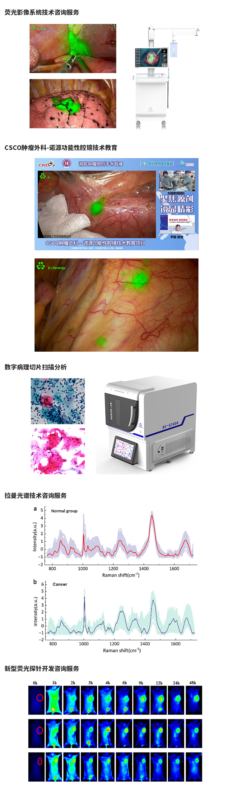 中文的(1).jpg